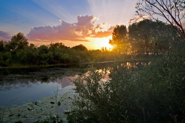 Закат в деревне