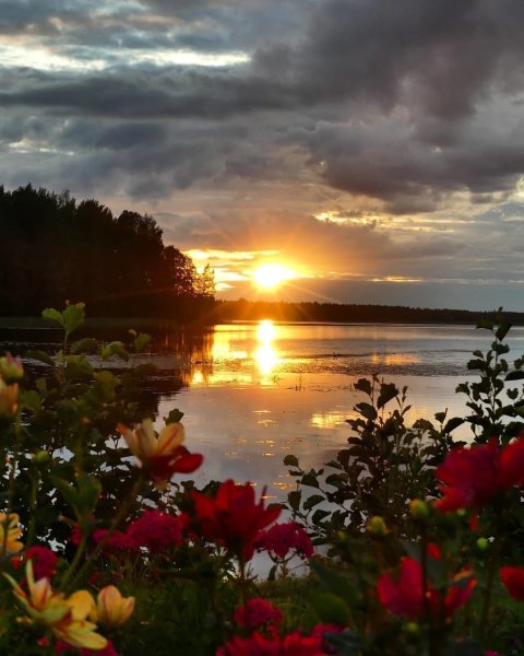 Красивый летний закат