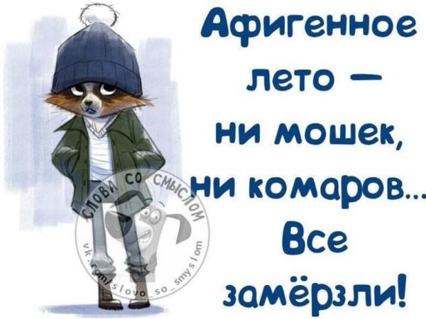 Приколы про Холодное лето