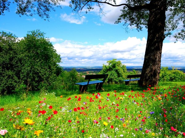 Пейзаж озеро