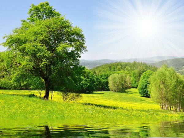 Красивая природа лето