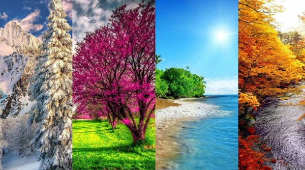 Картинки разные времена года