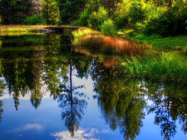 Красивая природа лето