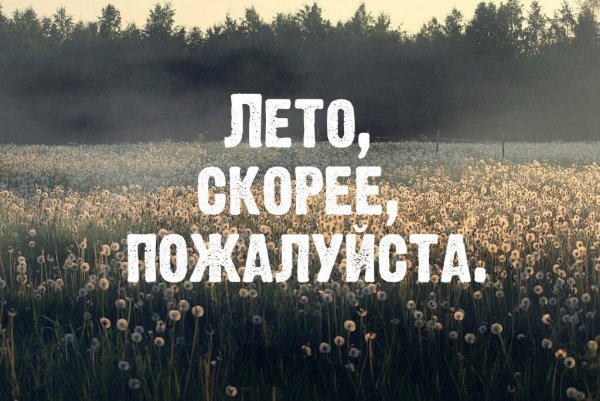 Лето приближается