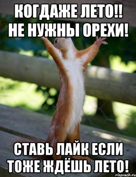 Жду встречи с тобой