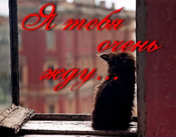 Осенние картинки с надписями