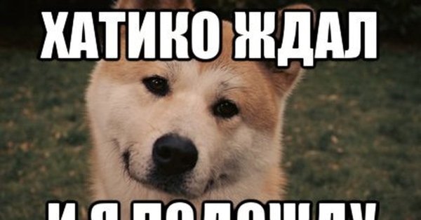 Ждём тебя домой