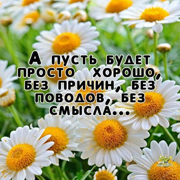 Ноги в море