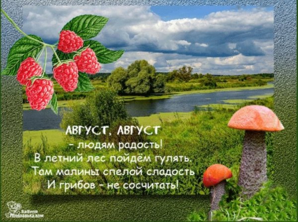 Тапочки «ноги»