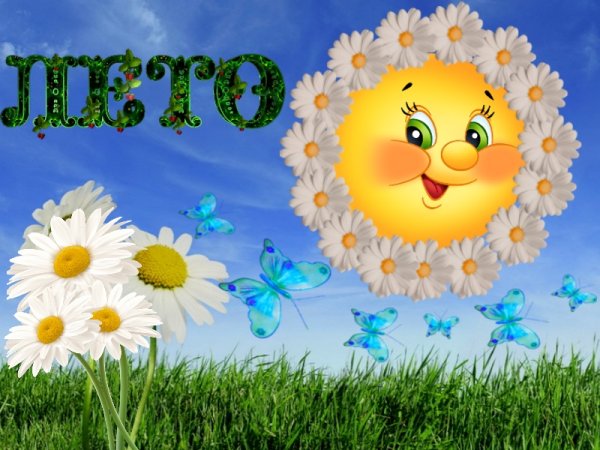 Яркие летние цветы