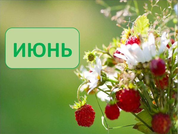 Радость жизни природа