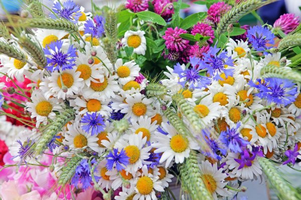 Веселье на море