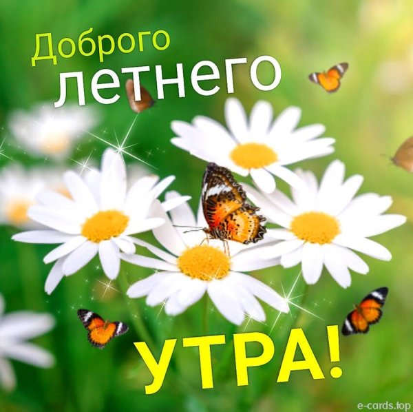 С добрым летним утром прикольные