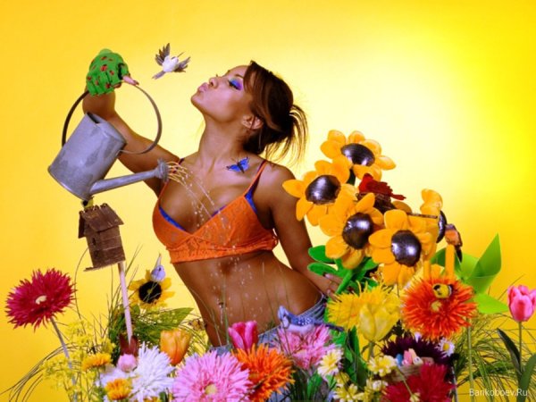 Жаркое лето