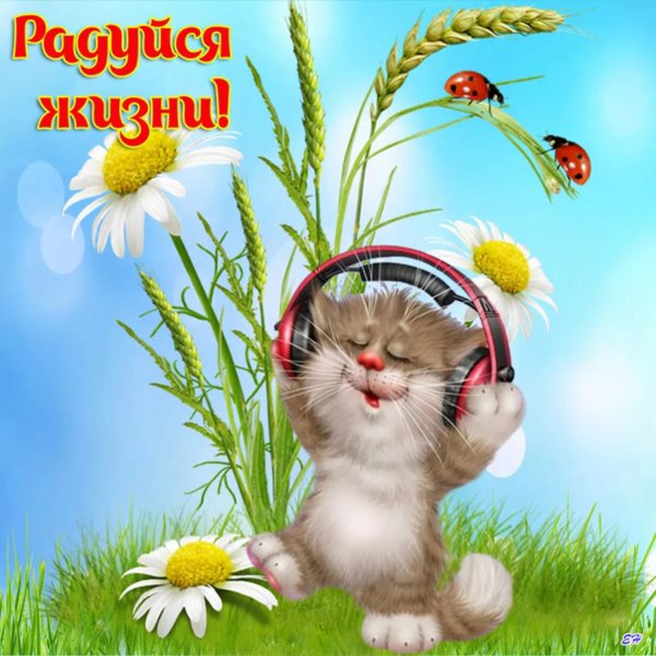 Открытки лето