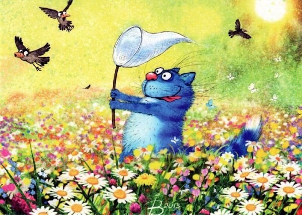 Коты Ирины Зенюк лето