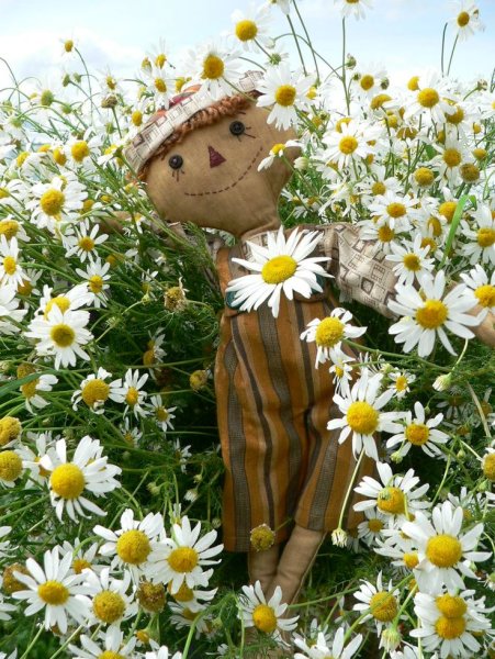 Травяная кукла из ромашек