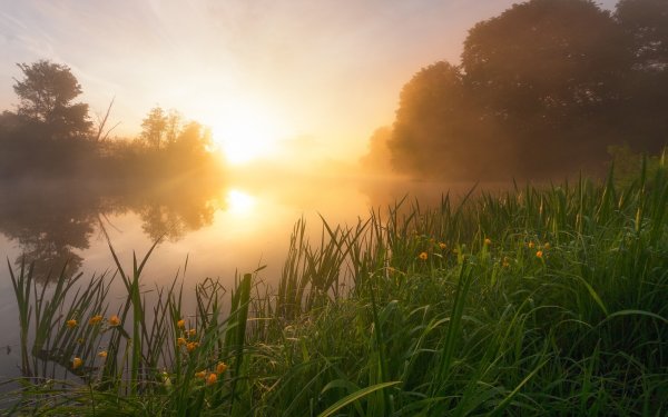 Природа лучи солнца