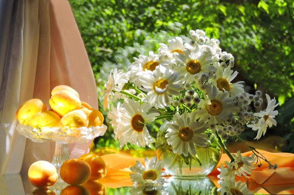 Природа летом рассвет