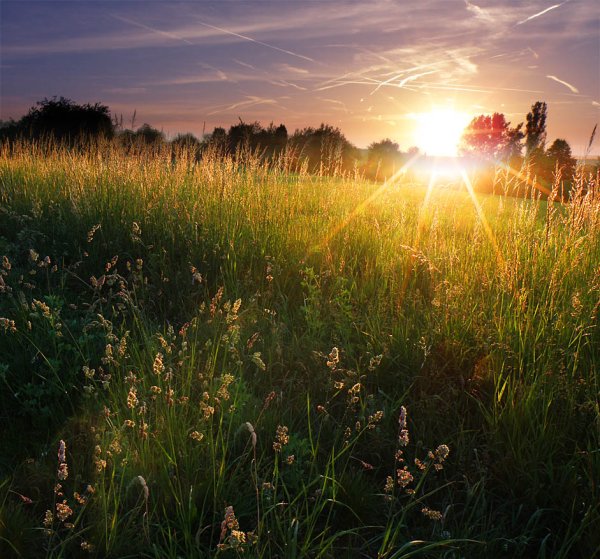 Утро солнце