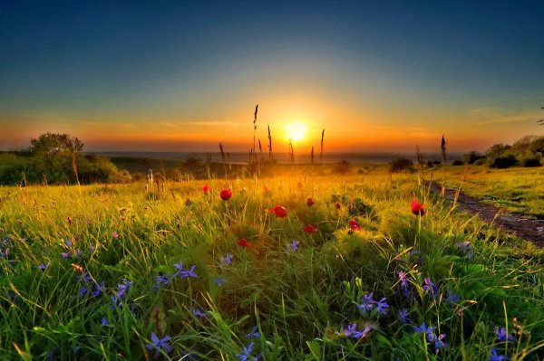 Природа солнце