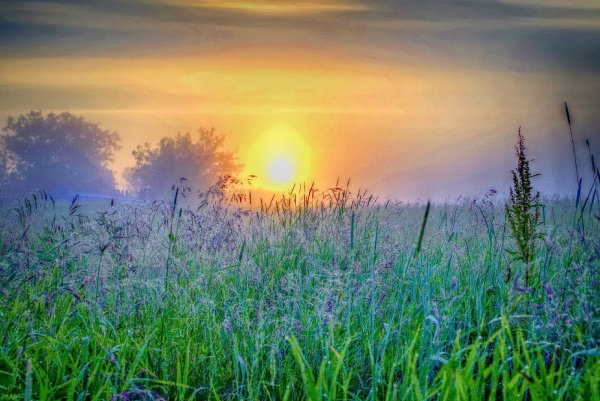 Утро в деревне