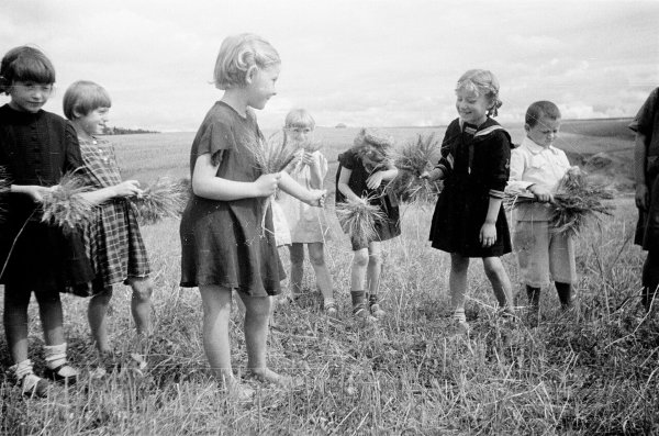 Пионерские лагеря в СССР 1930е годы