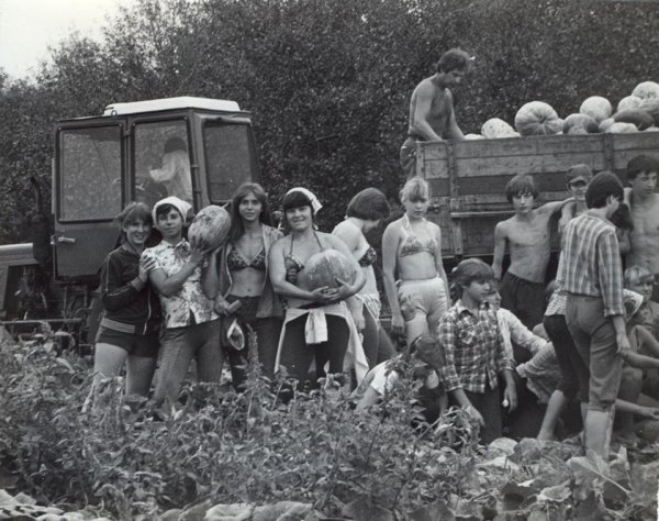 Сокольники 1950 года