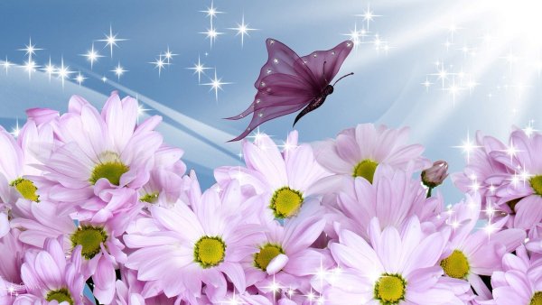 С добрым воскресным утром