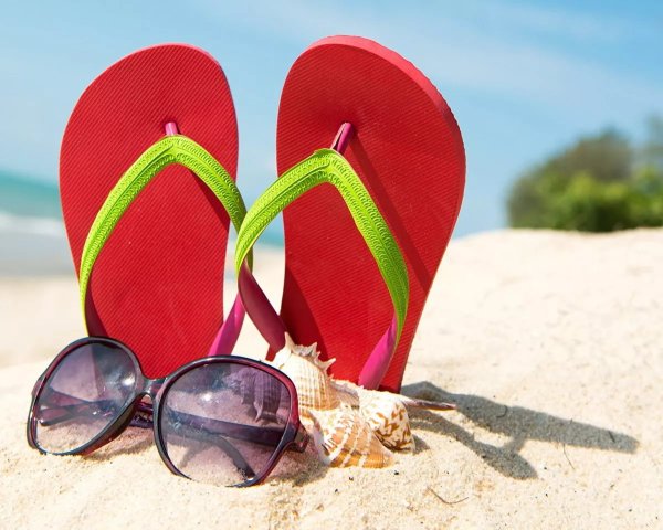 Лето каникулы