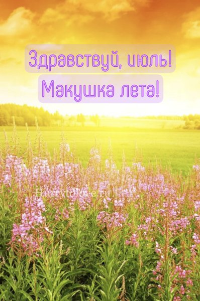 Пейзаж лето
