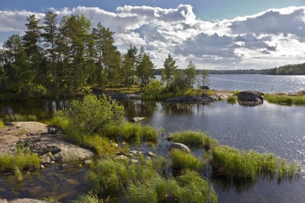 Карелия природа Олонецкий край