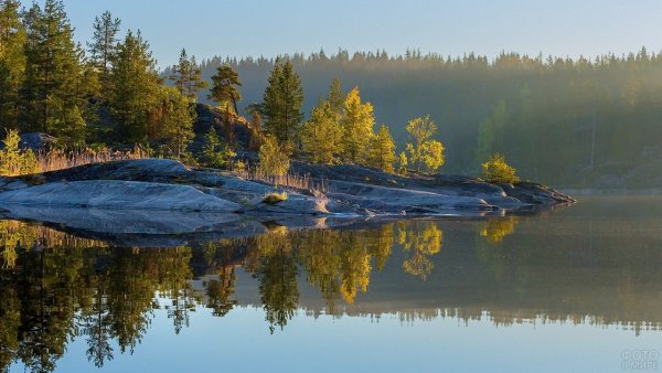 Карелия лес Ладога