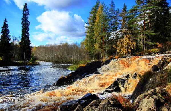 Петрозаводск природа