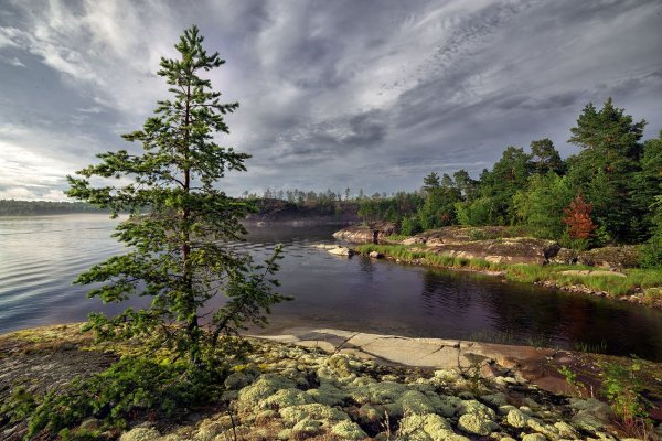 Остров Хонкасало Ладожское озеро