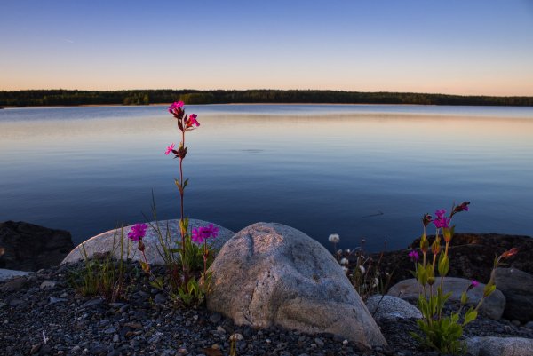 Озеро Тулос Карелия