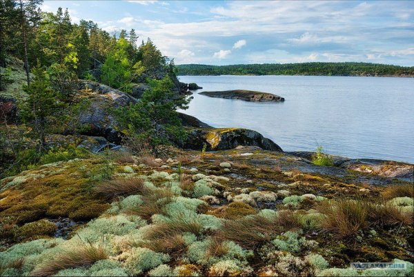 Озеро Легонтово Карелия