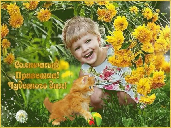 Теплого радостного дня