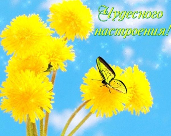 Отличного солнечного настроения