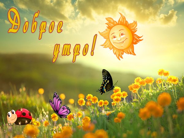 Доброе солнечное утро