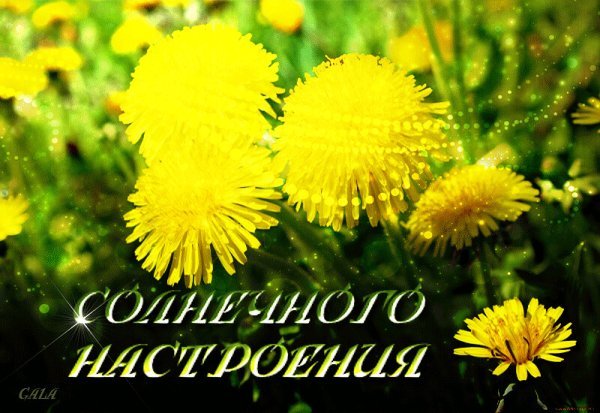 Солнечного настроения