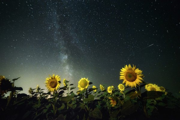 Августовская ночь