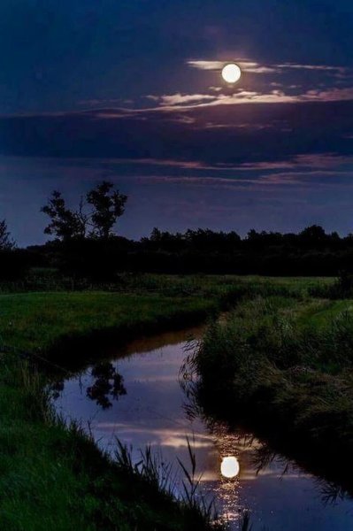 Ночной пейзаж