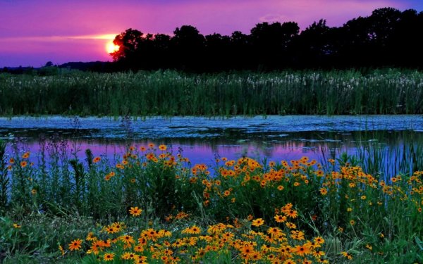 Сумерки природа