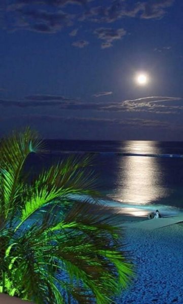 Финский ночью. Залив ночью