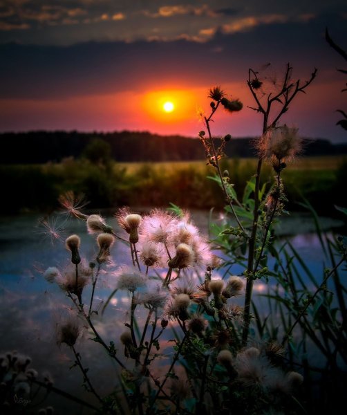 Море и звезды