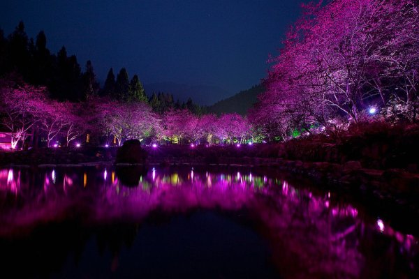 Умиротворяющая природа