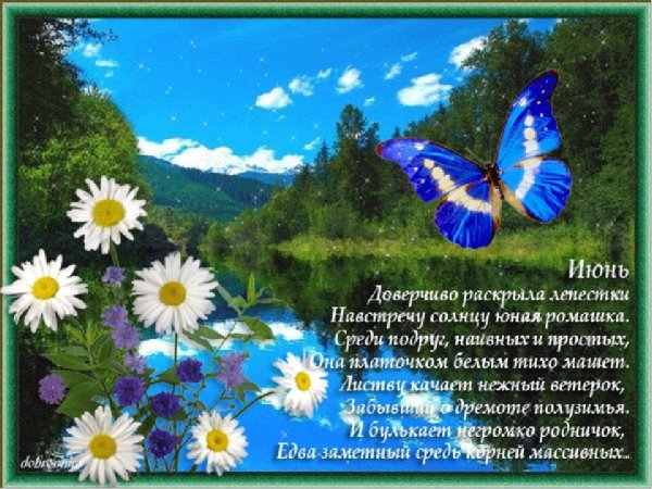 Стихи про лето