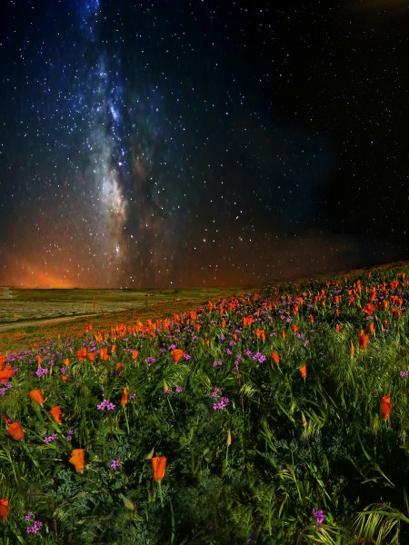 Лето ночь Луна