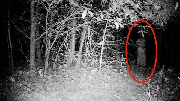 Деревенское кладбище ночью